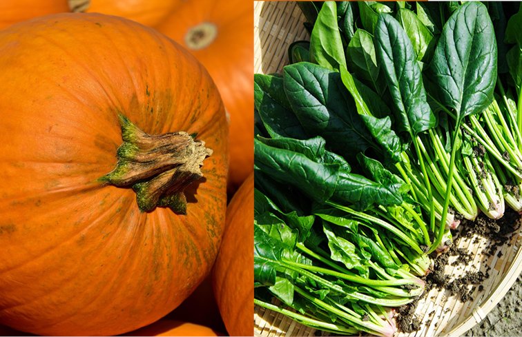 Pumpkin und Spinat