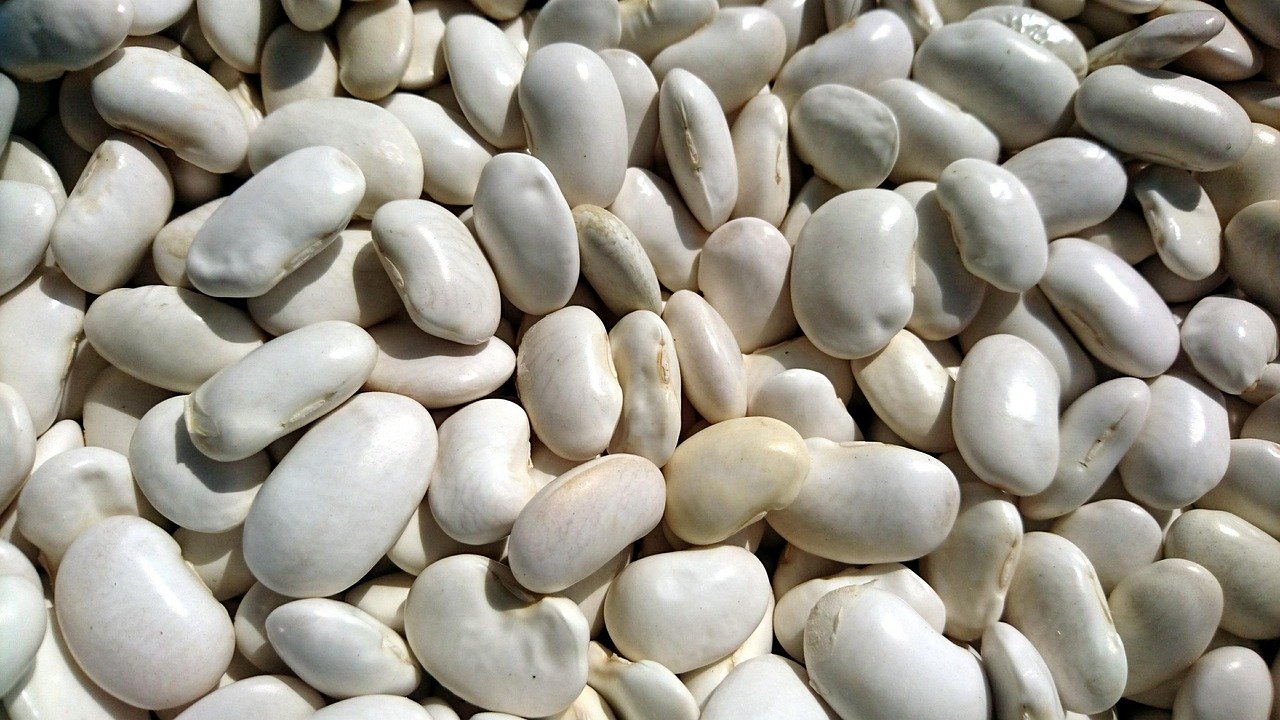 Weisse Bohnen