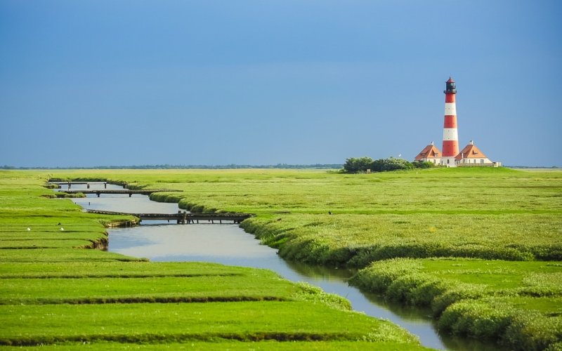 agriculture-countryside-cropland-farm-219950